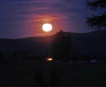 Moonlight