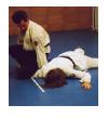 PJIArmBar