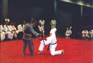 Master Fusei Kise from Okinawa