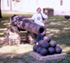 Cannon